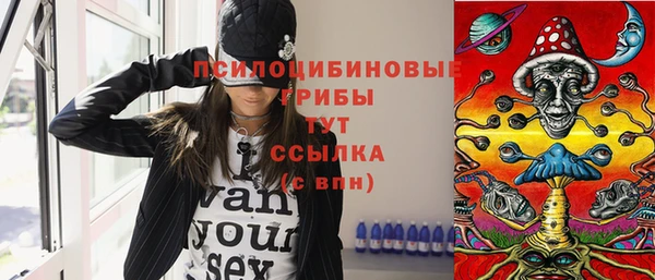 прущие крисы Армянск