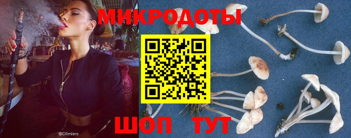Сургут  Псилоцибиновые грибы ЛСД  продажа наркотиков  Вход с VPN  Галлюциногенные грибы Psilocybe 