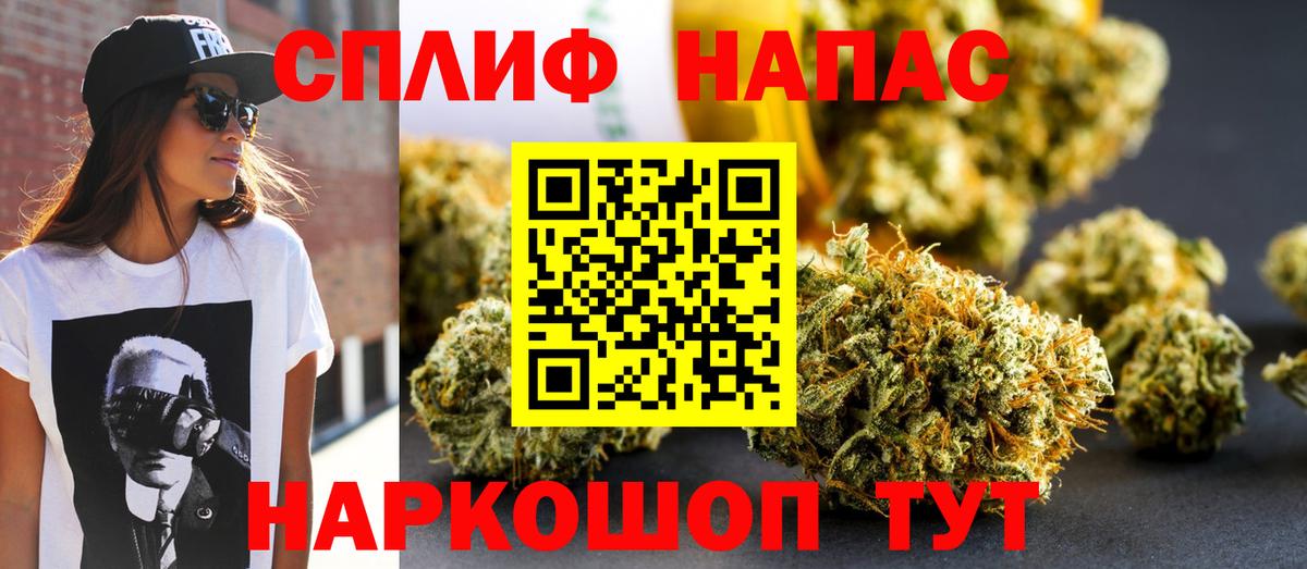 Конопля сатива Сургут